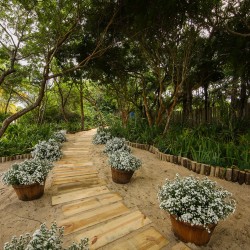 CASAMENTO PÉ NA AREIA