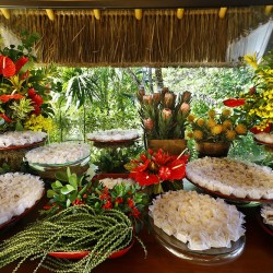 Casamento em Itapororoca Villa